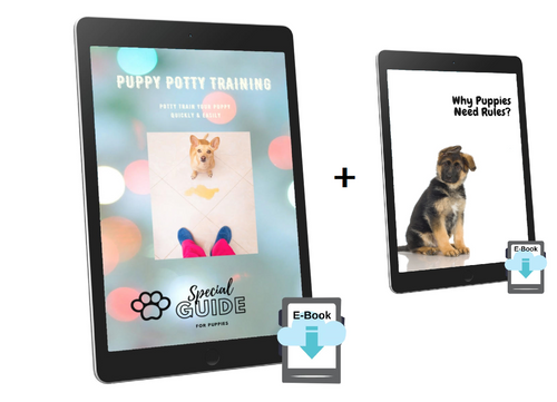 Puppy Potty Training & Why Puppies Need Rules (Digital E-Book Bundle) - Small Paws & Big Hearts